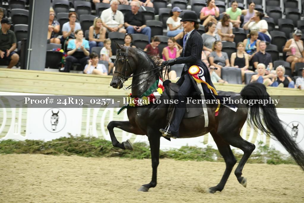 Proof 24R13_02571