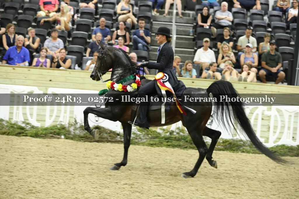 Proof 24R13_02572