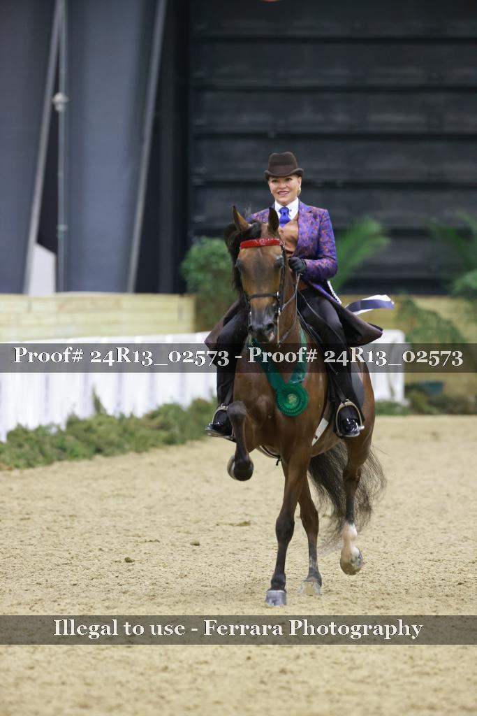 Proof 24R13_02573