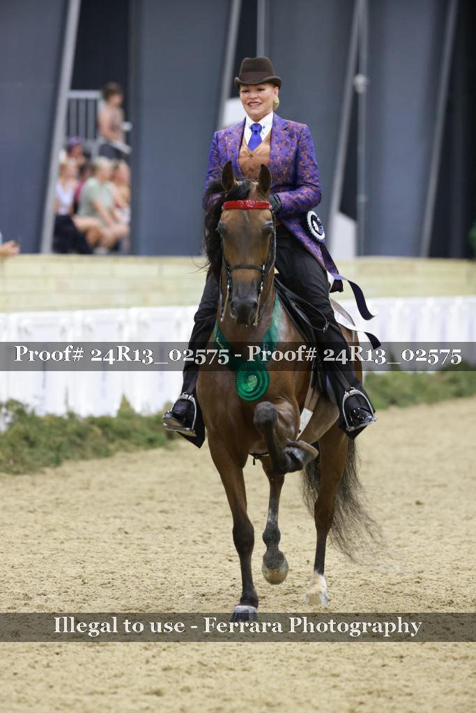Proof 24R13_02575