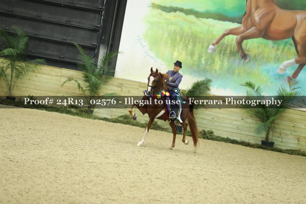 Proof 24R13_02576