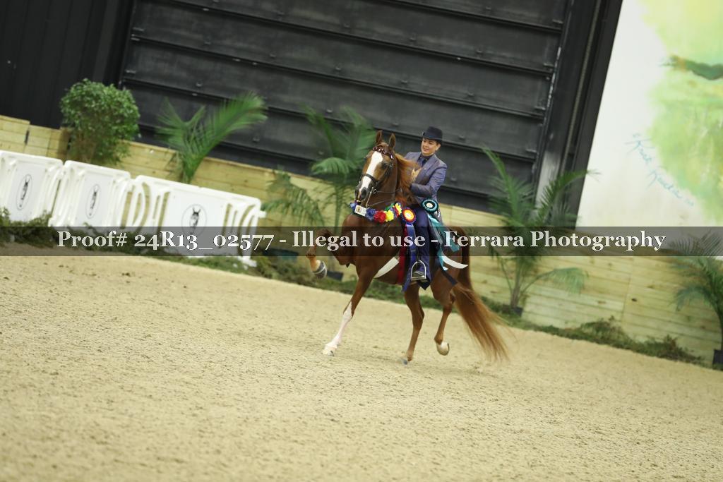 Proof 24R13_02577