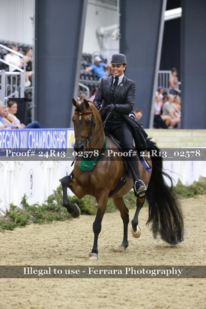 Proof 24R13_02578