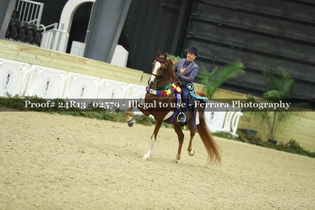 Proof 24R13_02579