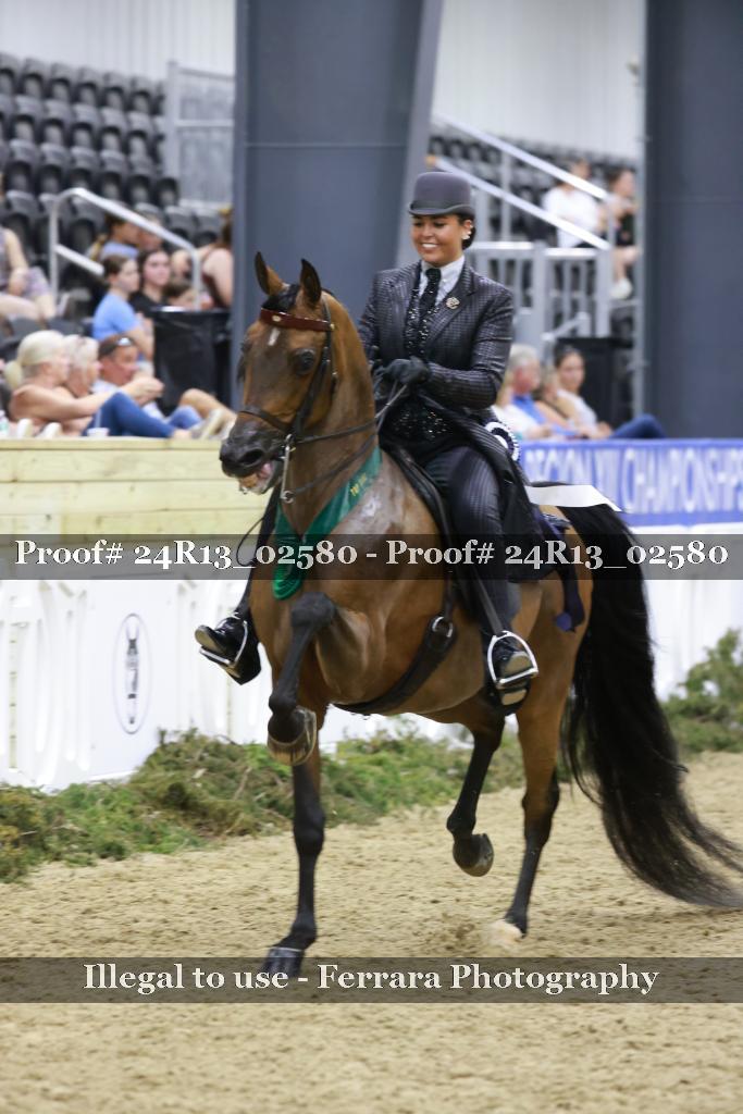Proof 24R13_02580