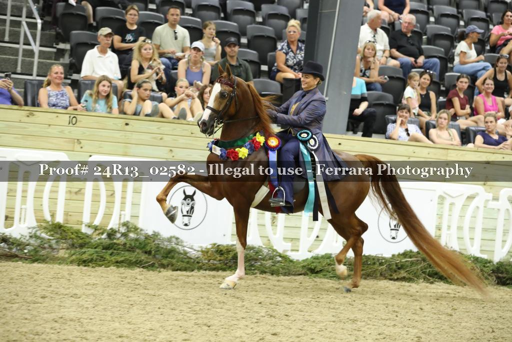 Proof 24R13_02582