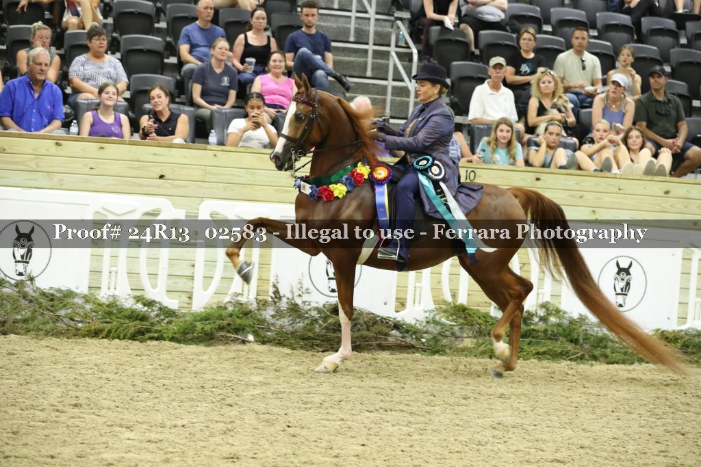 Proof 24R13_02583