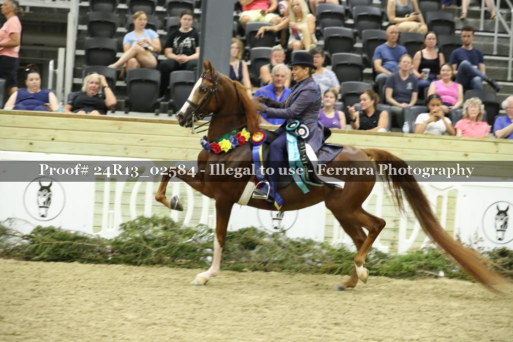 Proof 24R13_02584