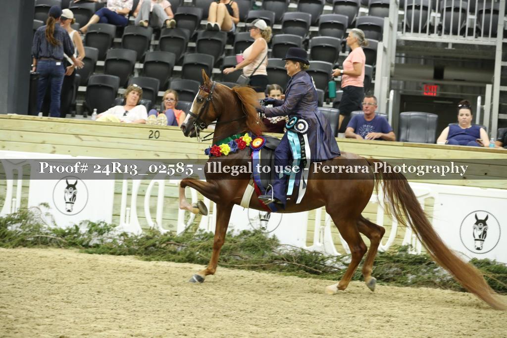 Proof 24R13_02585