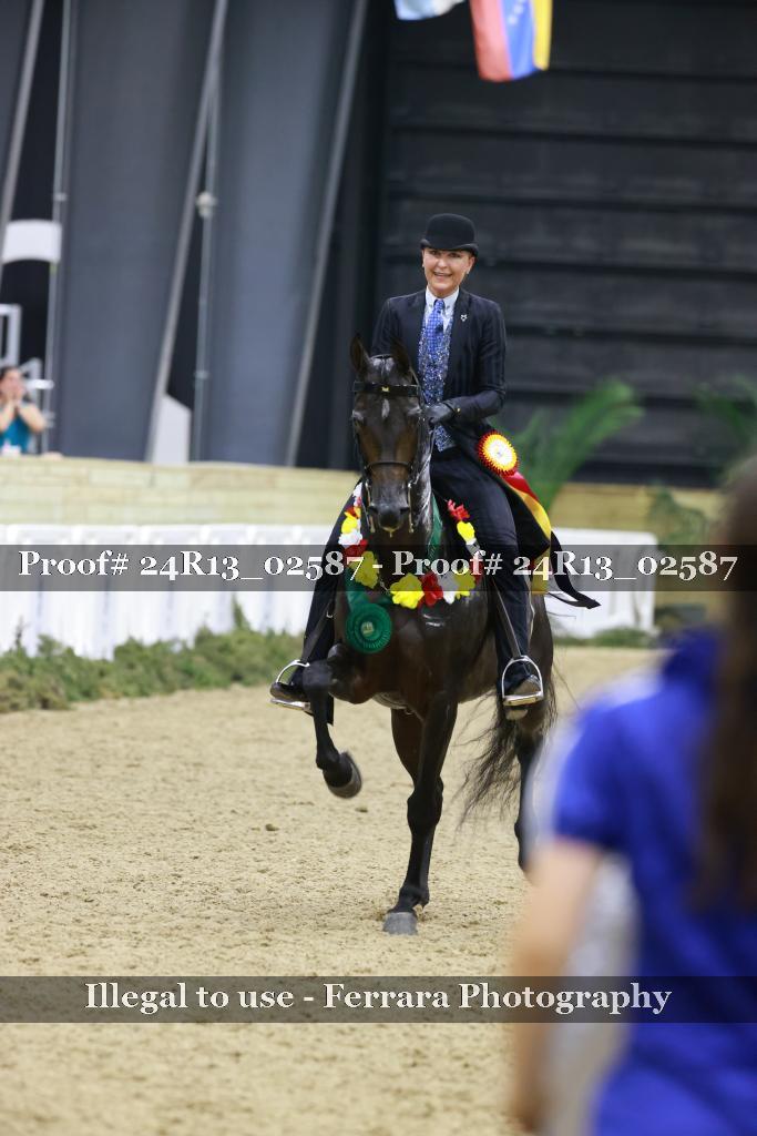Proof 24R13_02587