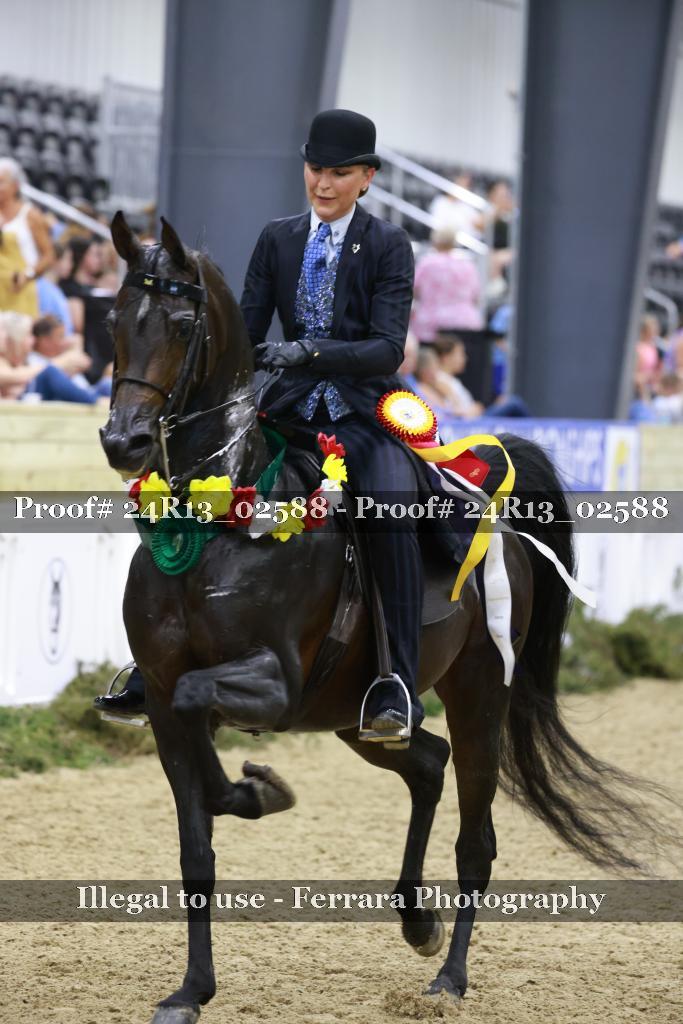 Proof 24R13_02588