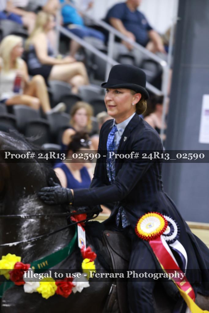 Proof 24R13_02590