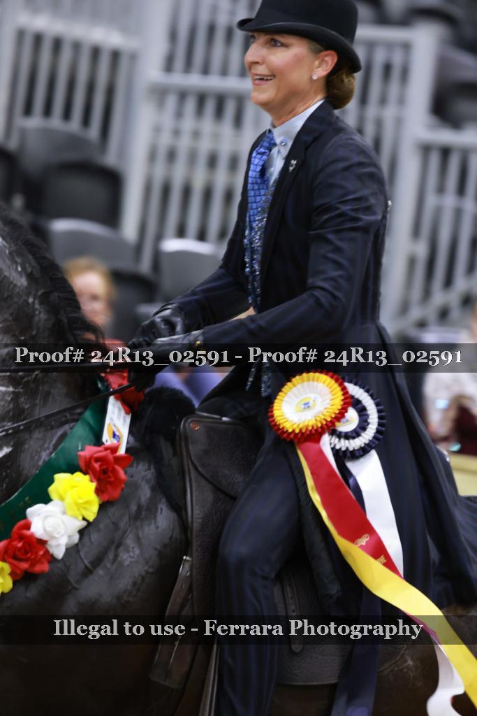 Proof 24R13_02591