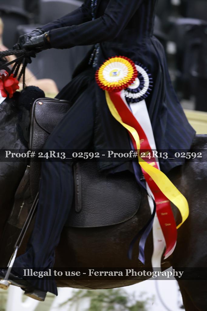 Proof 24R13_02592