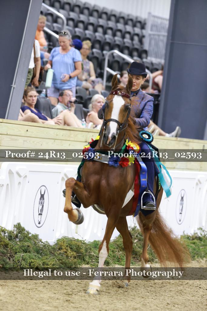 Proof 24R13_02593