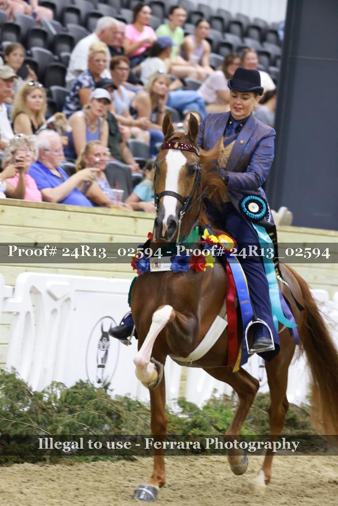 Proof 24R13_02594