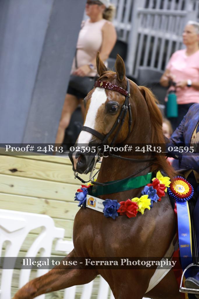 Proof 24R13_02595