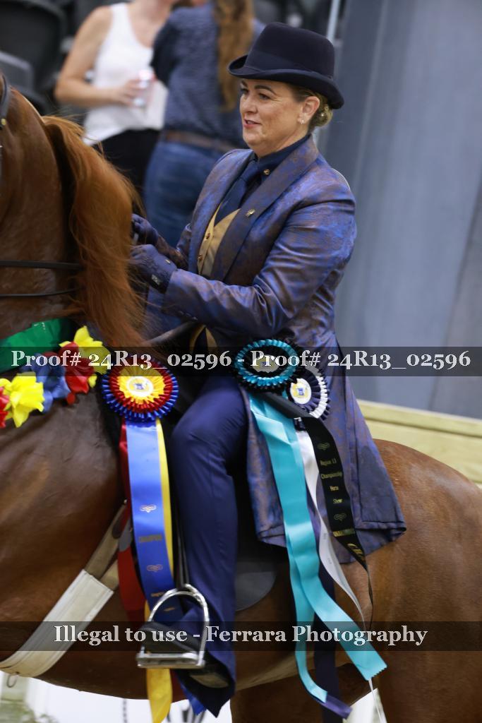 Proof 24R13_02596