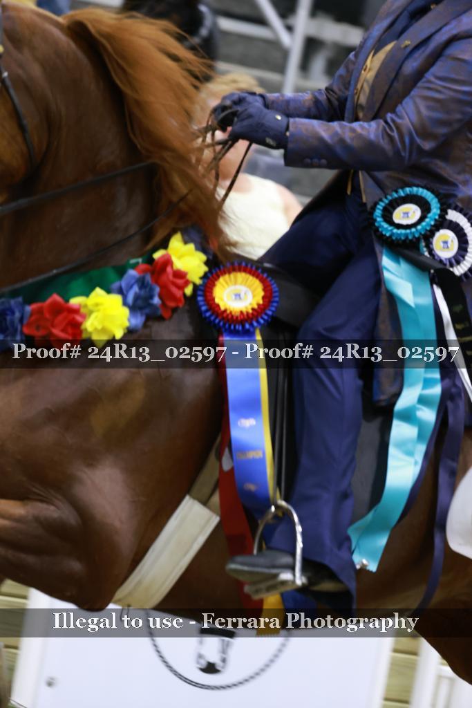 Proof 24R13_02597