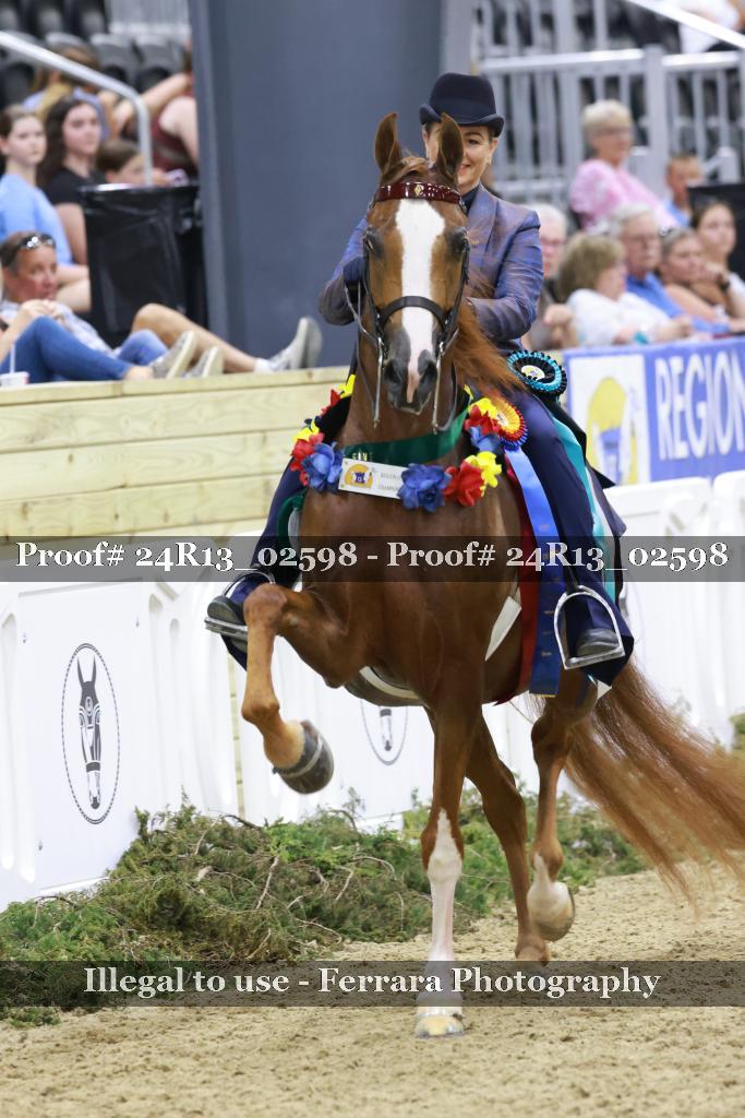 Proof 24R13_02598
