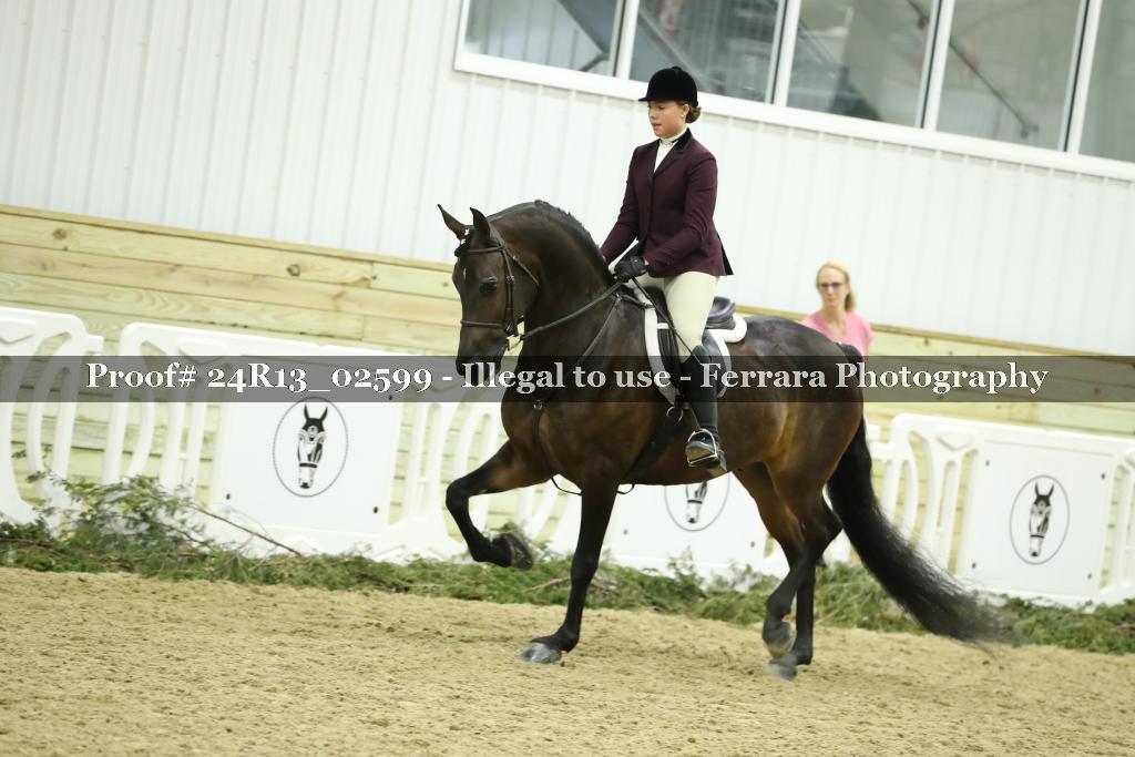 Proof 24R13_02599