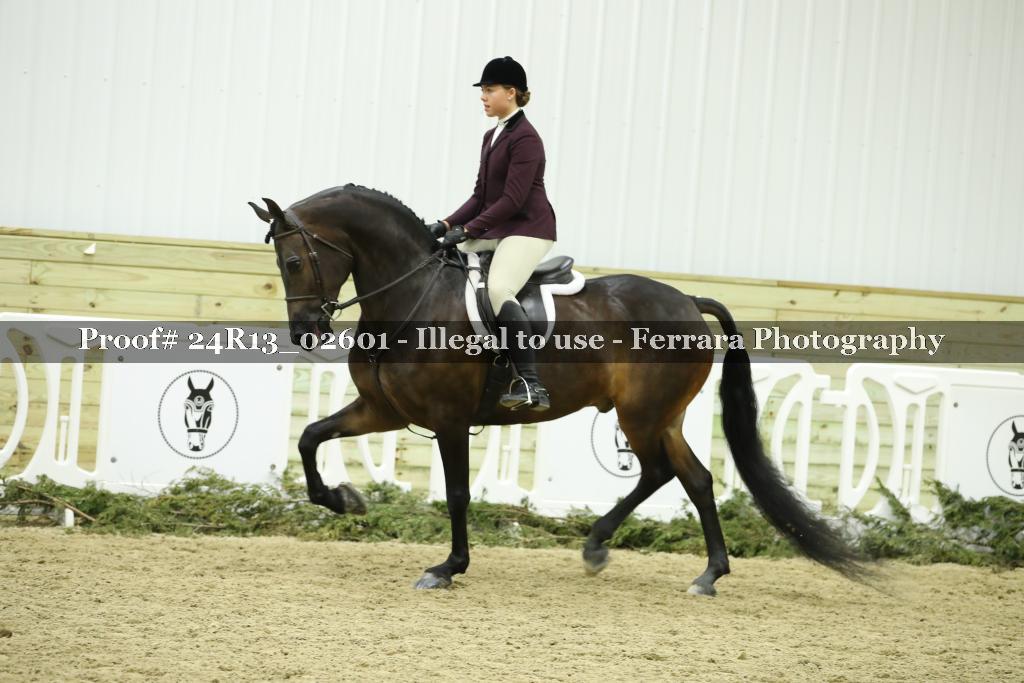 Proof 24R13_02601