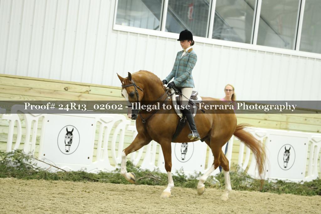 Proof 24R13_02602