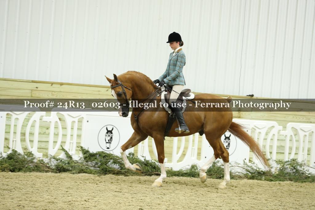 Proof 24R13_02603