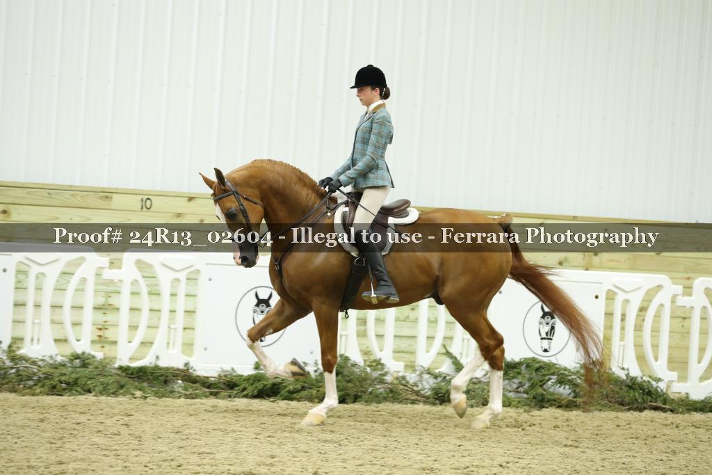 Proof 24R13_02604