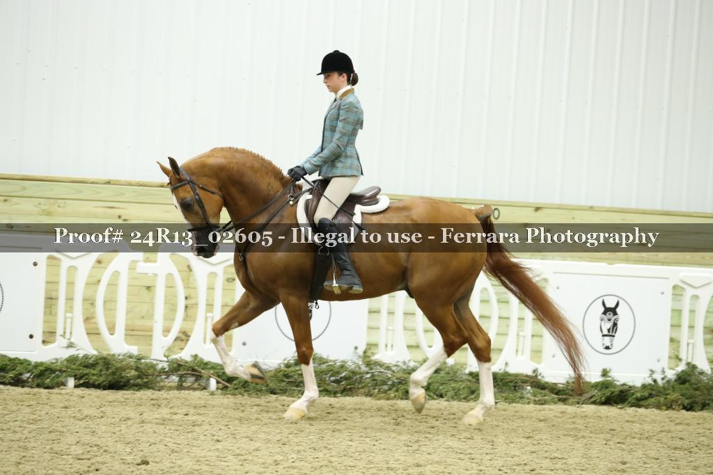 Proof 24R13_02605