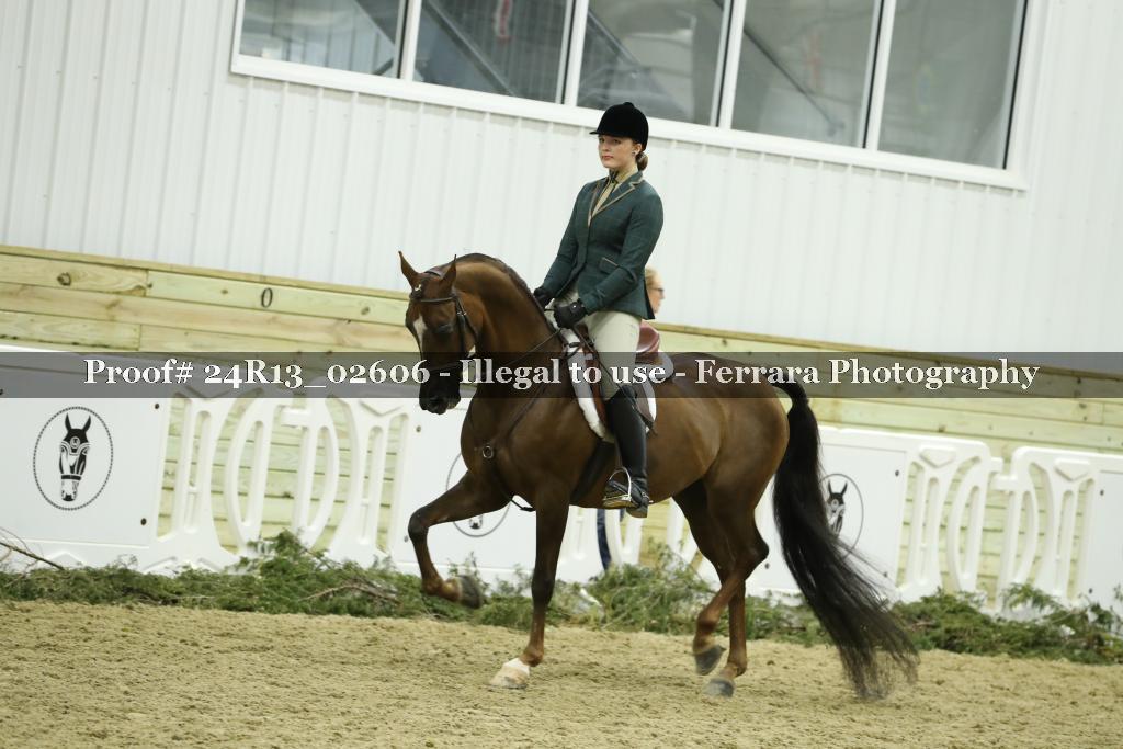 Proof 24R13_02606