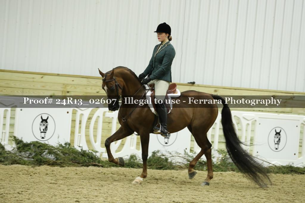 Proof 24R13_02607
