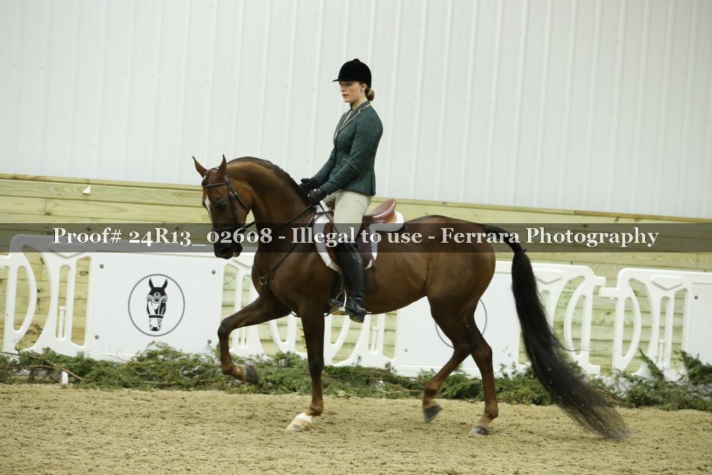 Proof 24R13_02608