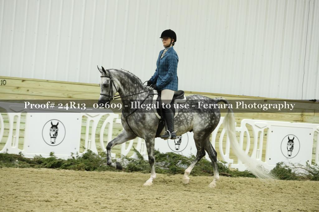 Proof 24R13_02609