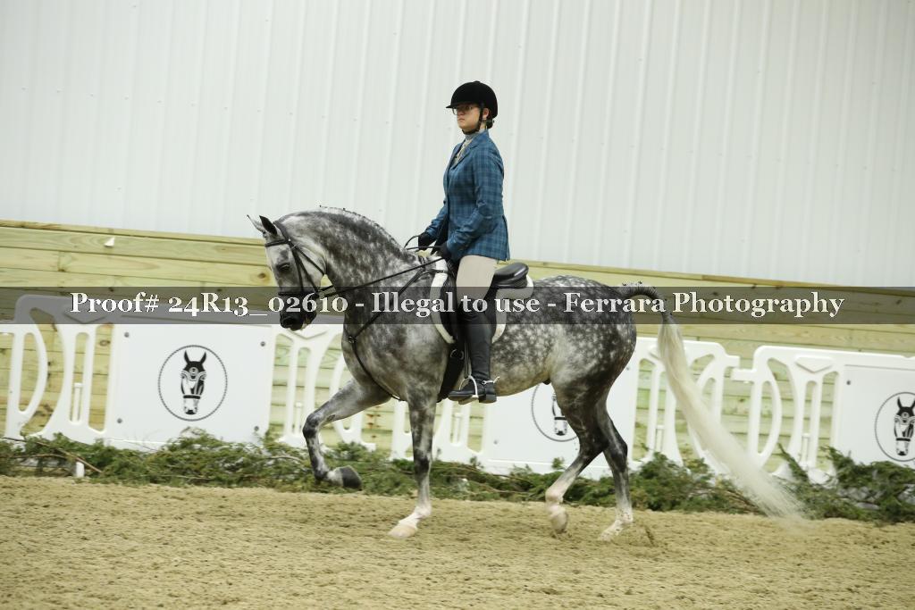 Proof 24R13_02610