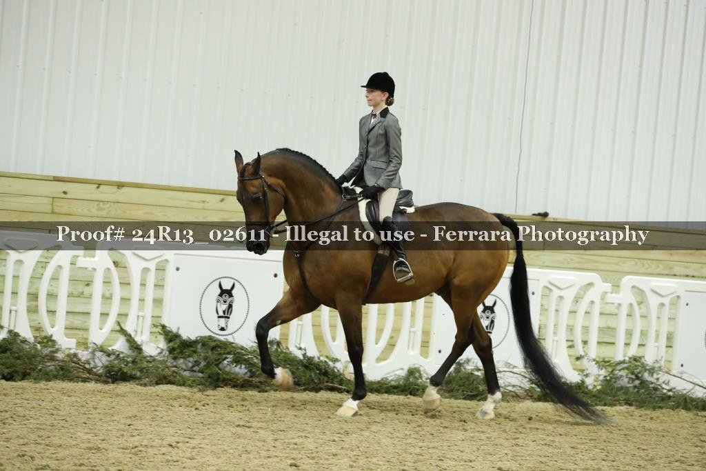 Proof 24R13_02611