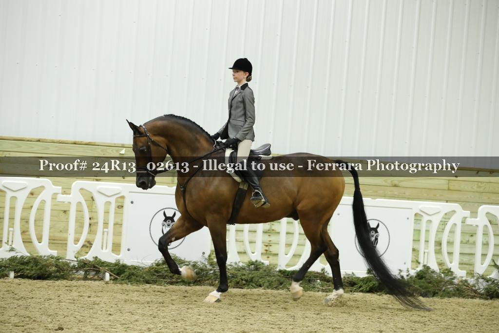 Proof 24R13_02613