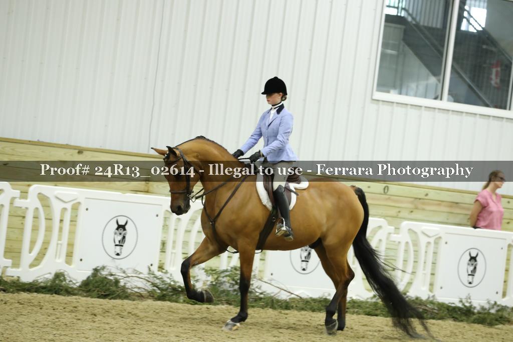 Proof 24R13_02614