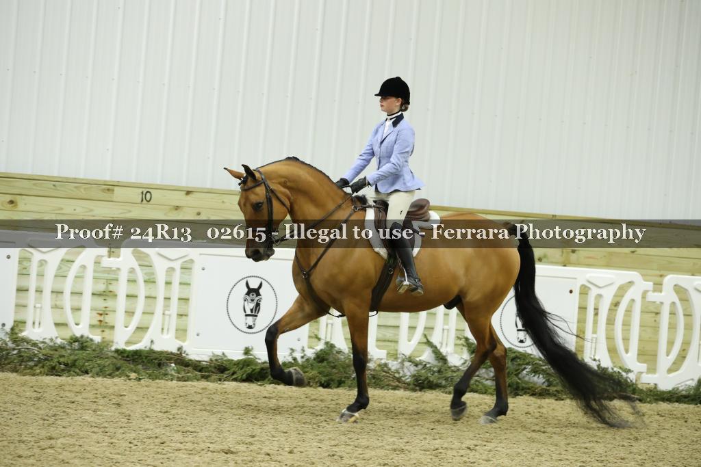 Proof 24R13_02615