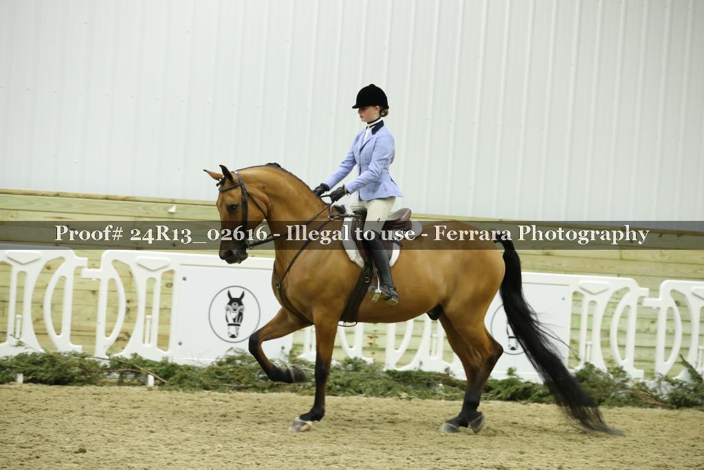Proof 24R13_02616