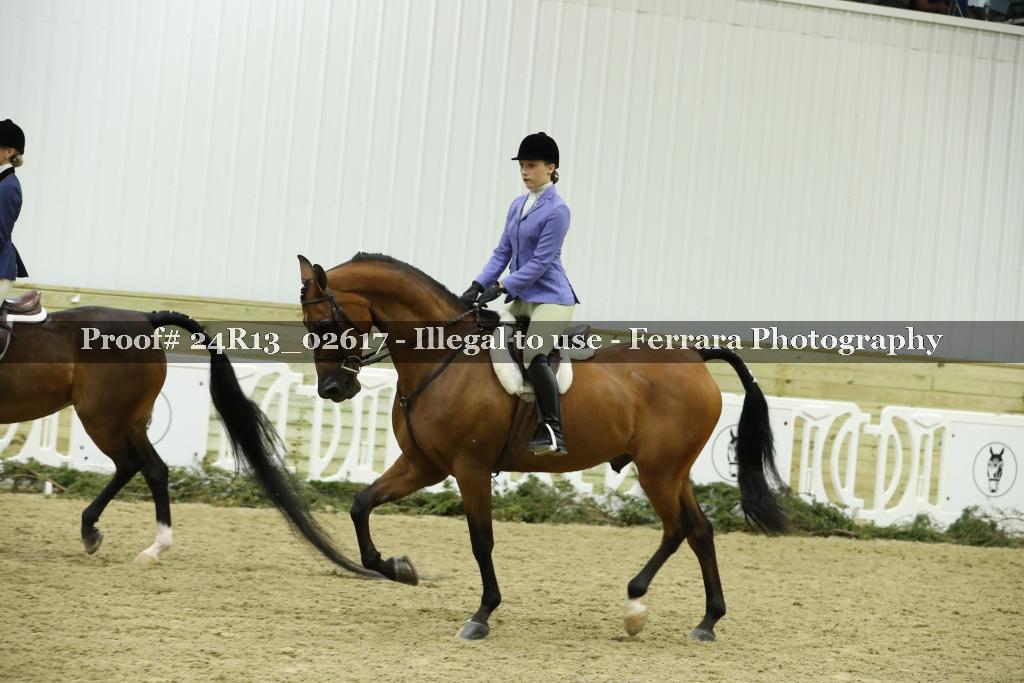Proof 24R13_02617