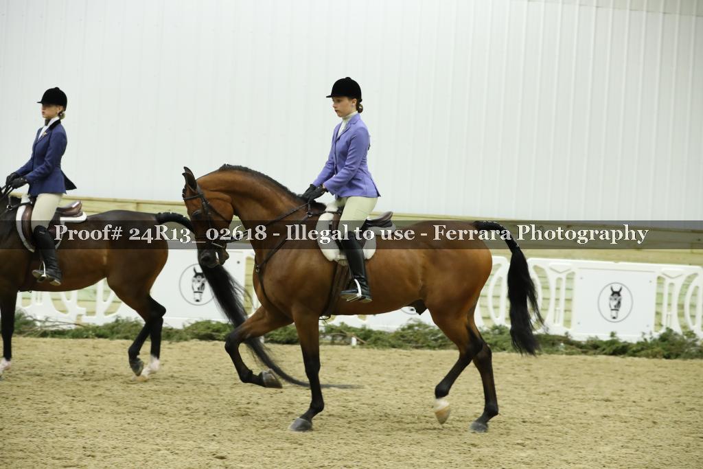 Proof 24R13_02618