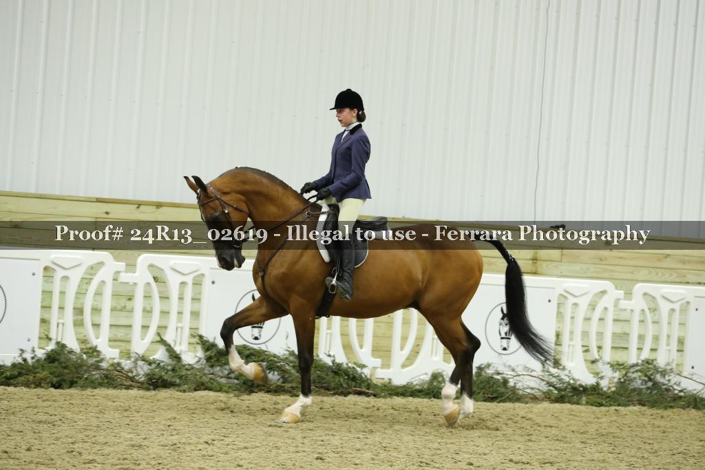 Proof 24R13_02619