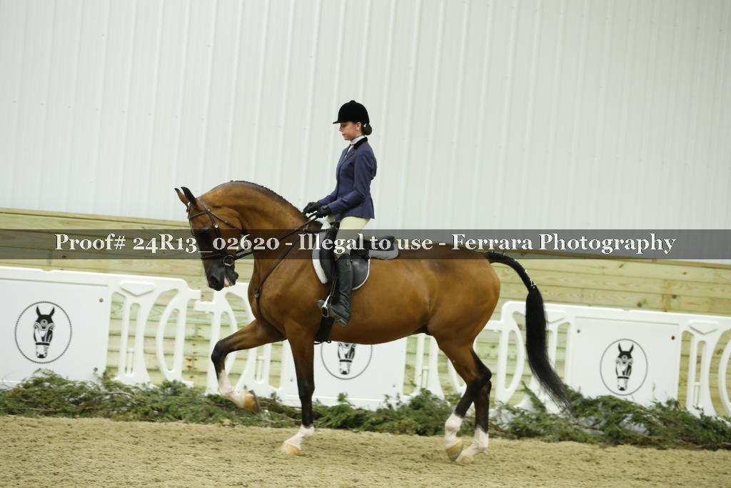 Proof 24R13_02620