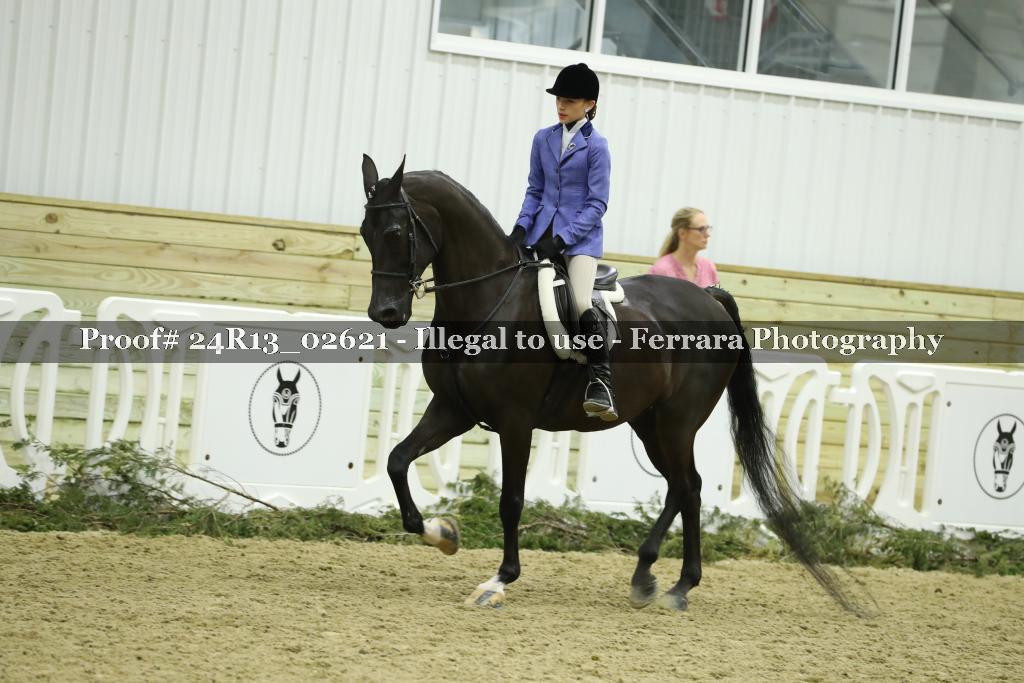 Proof 24R13_02621
