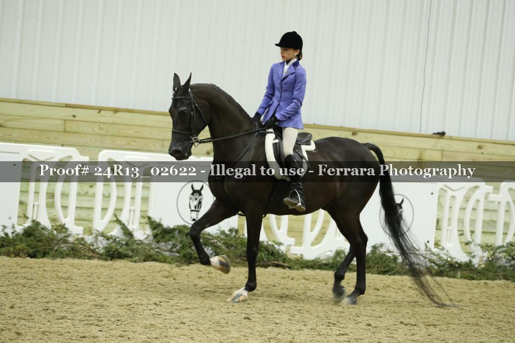 Proof 24R13_02622