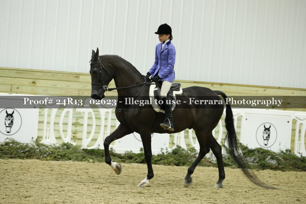 Proof 24R13_02623
