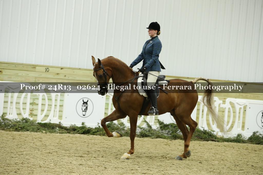 Proof 24R13_02624