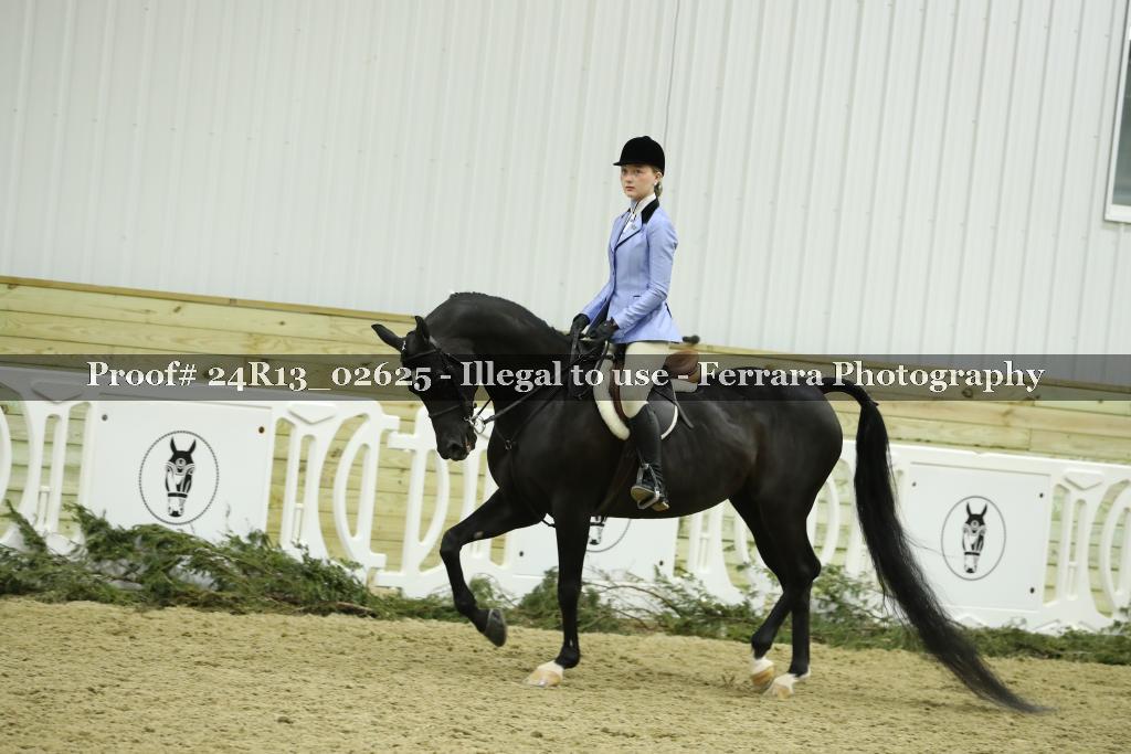 Proof 24R13_02625
