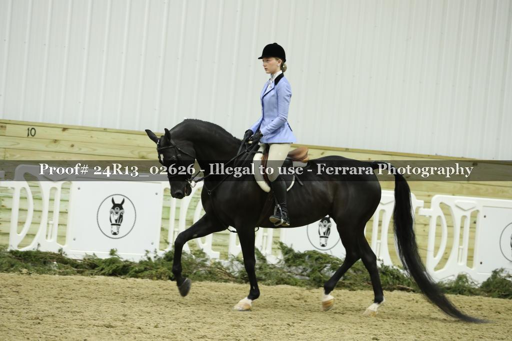 Proof 24R13_02626